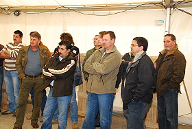 remmers maerz09 280 009